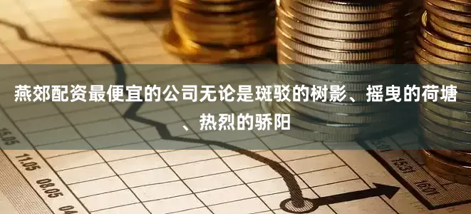 燕郊配资最便宜的公司无论是斑驳的树影、摇曳的荷塘、热烈的骄阳